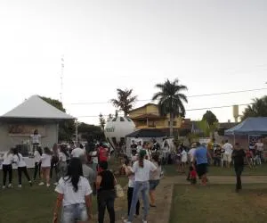  P1010829.jpg 