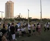  P1010831.jpg 