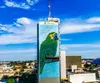  Papagaio 01.jpg 