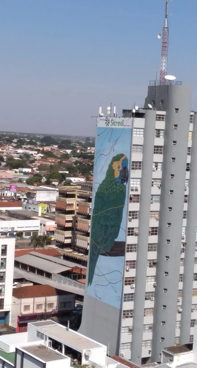  PAPAGAIO RESTAURADO.jpg 