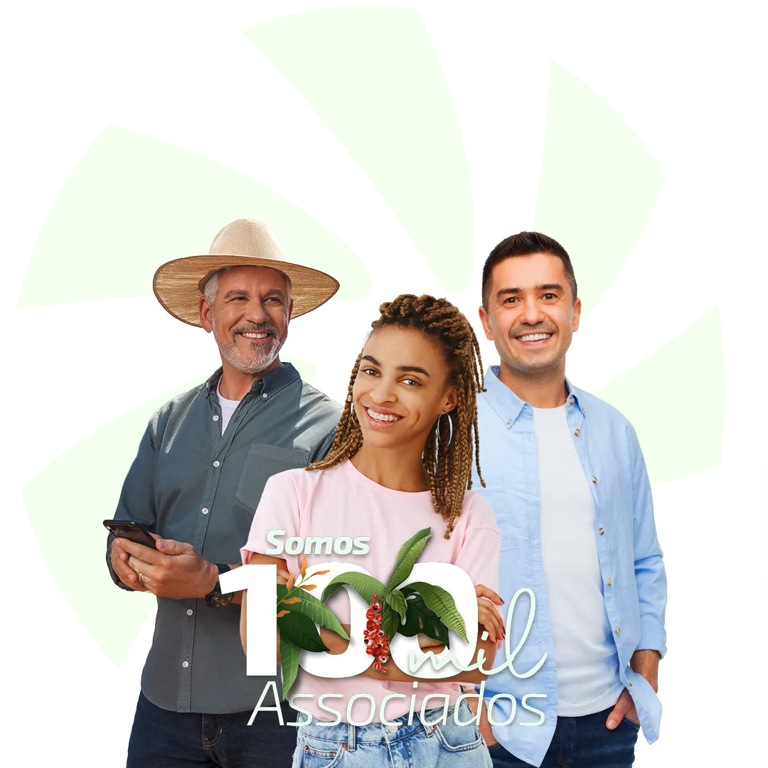  100 associados 