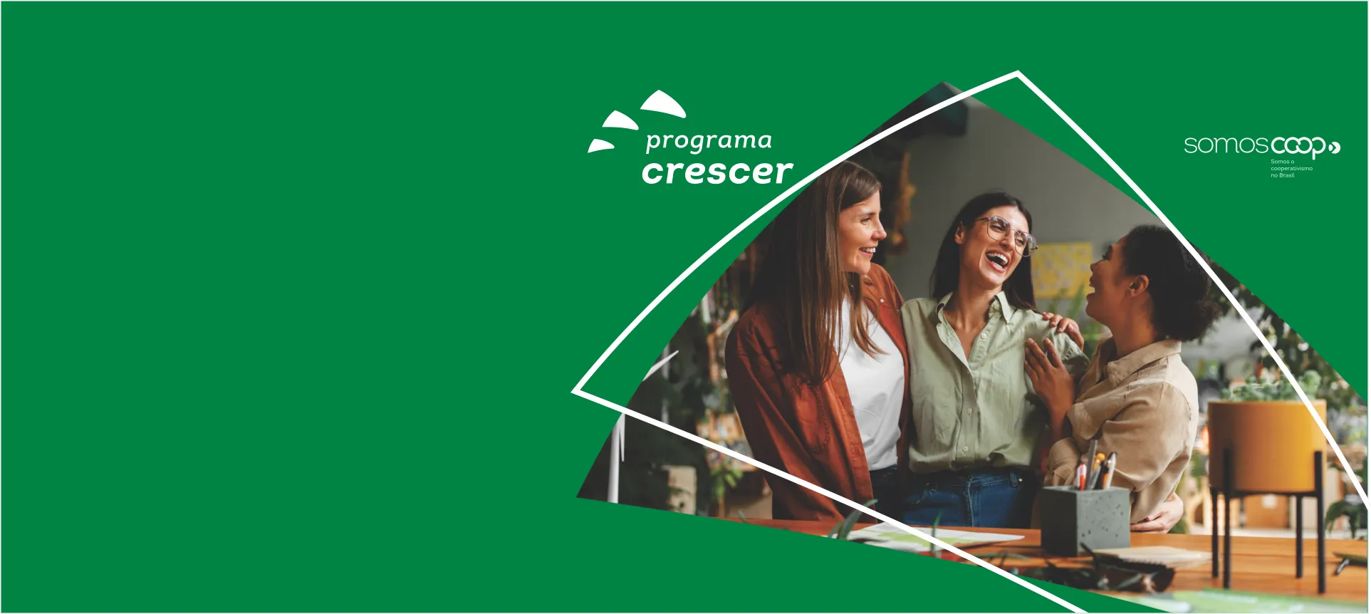  Imagem do site Sicredi 