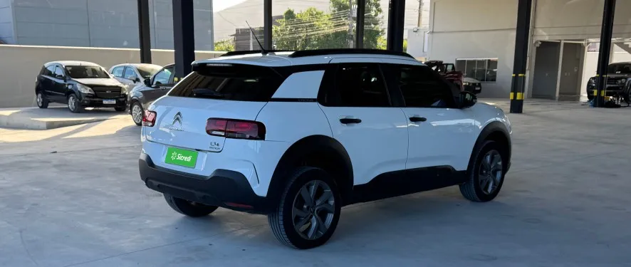 cactus rea3f95 2.jpg