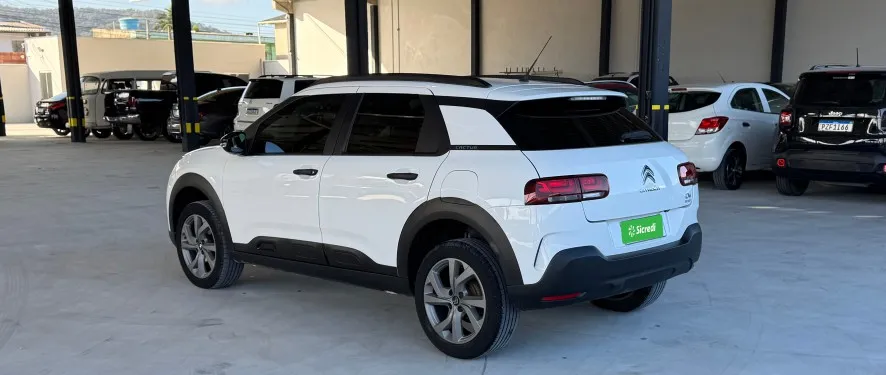 cactus rea3f95 3.jpg