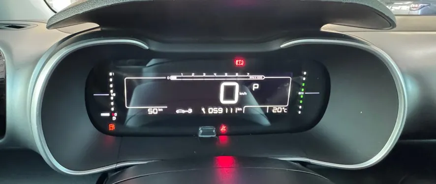 cactus rea3f95 5.jpg