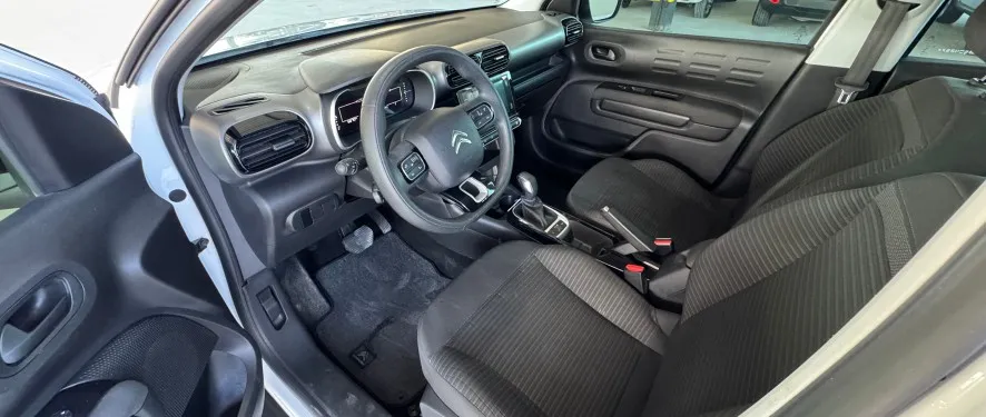 cactus rea3f95 6.jpg