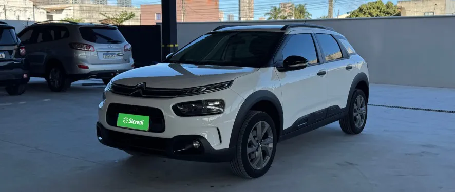 cactus rea3f95 8.jpg