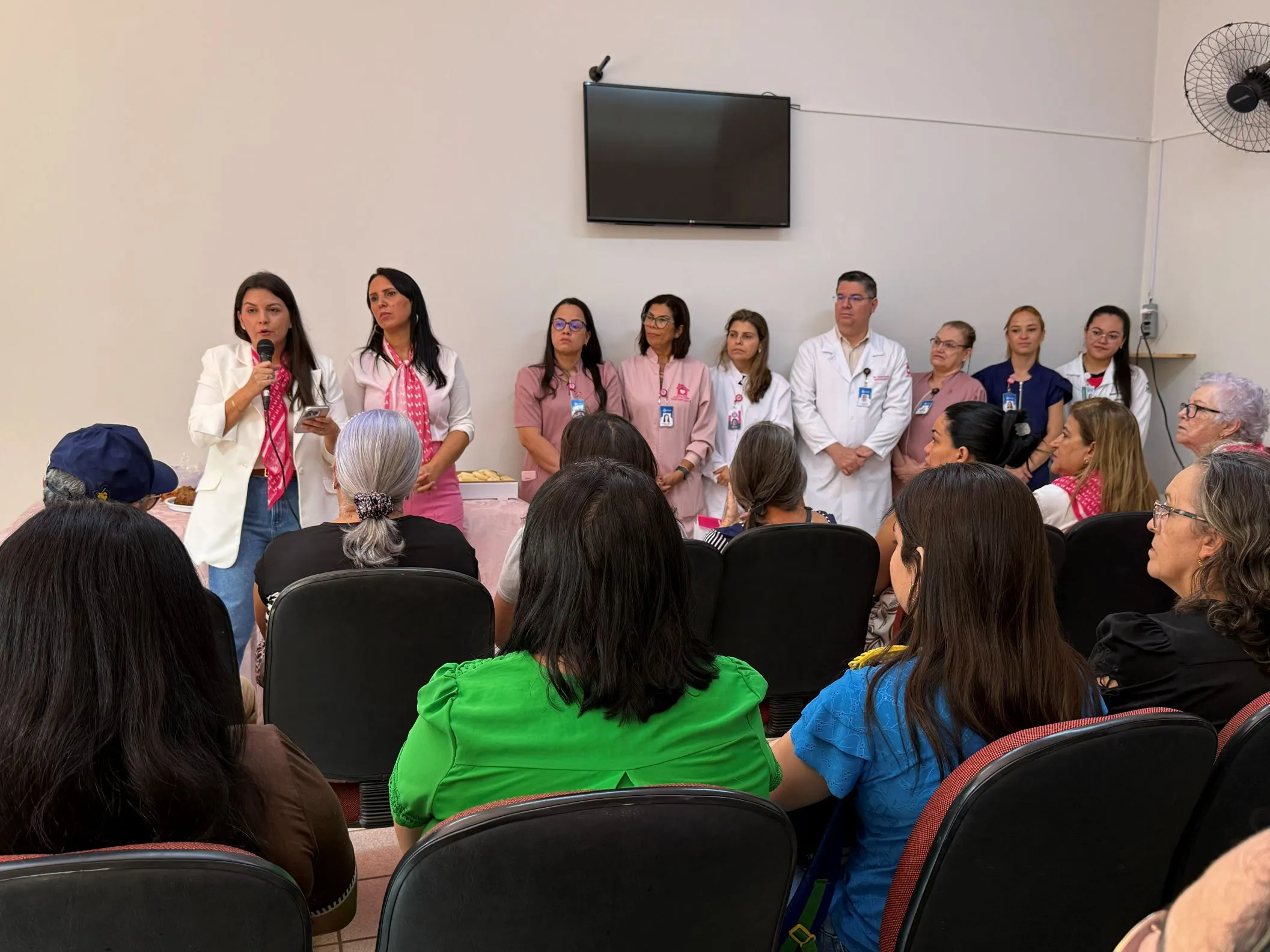  comite mulher _ outubro rosa 