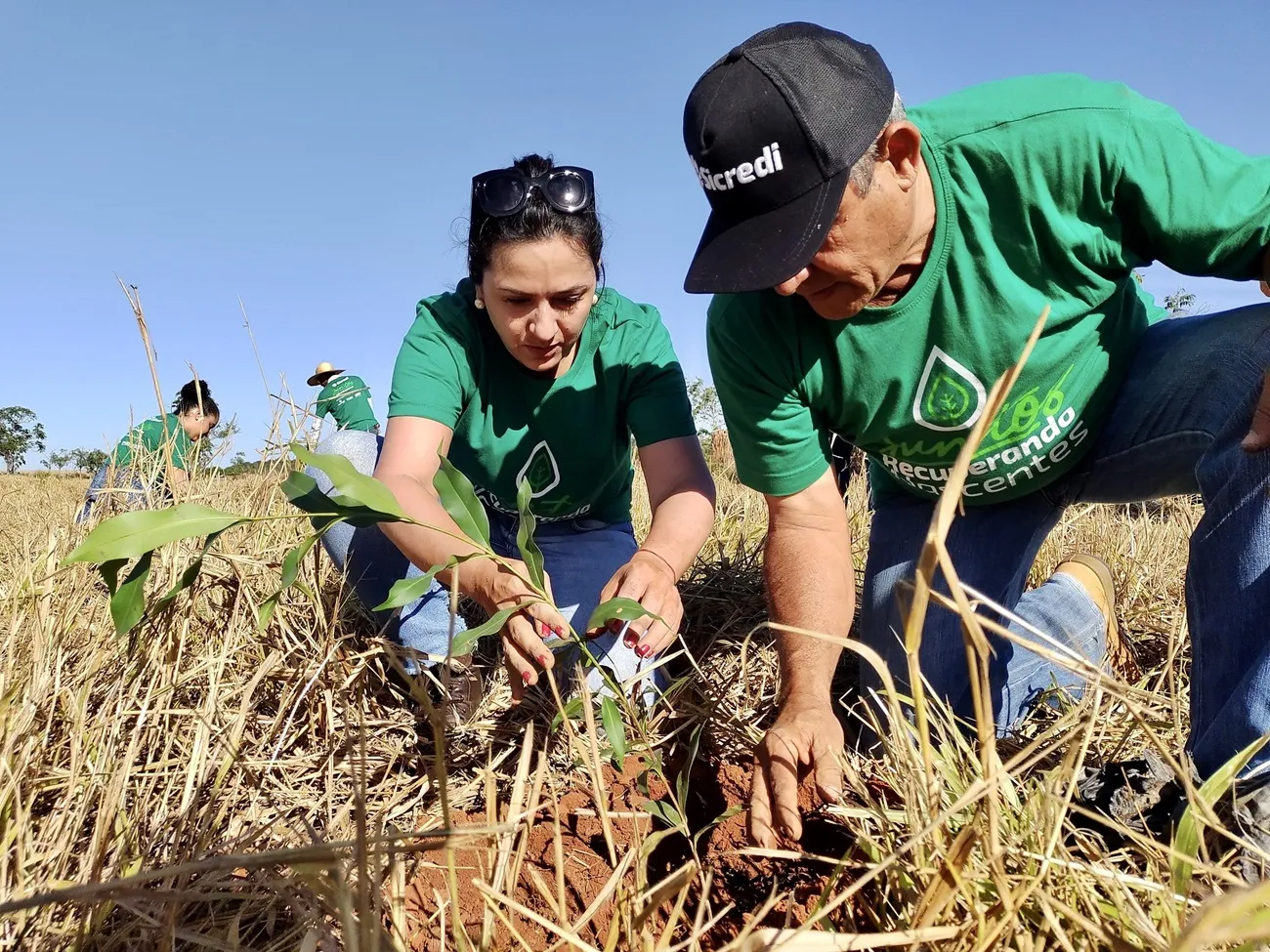  Recuperando Nascentes - Dia Mundial do Meio Ambiente 