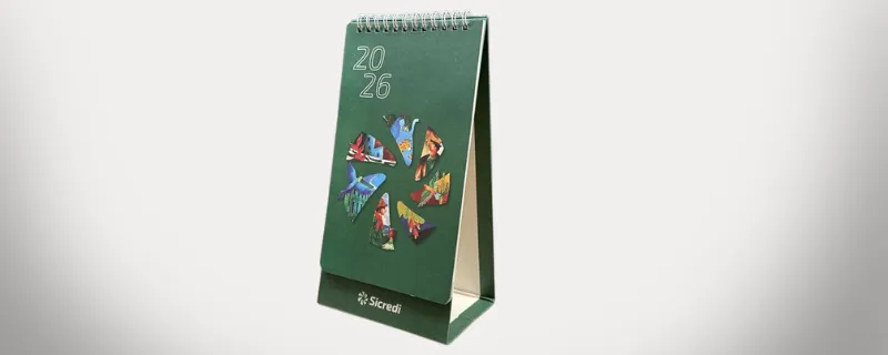  Imagem do site Sicredi 