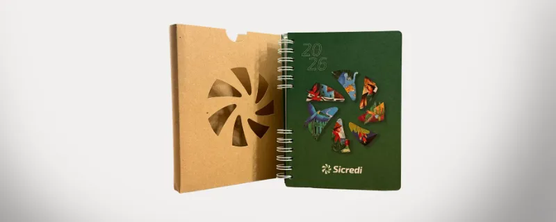  Imagem do site Sicredi 