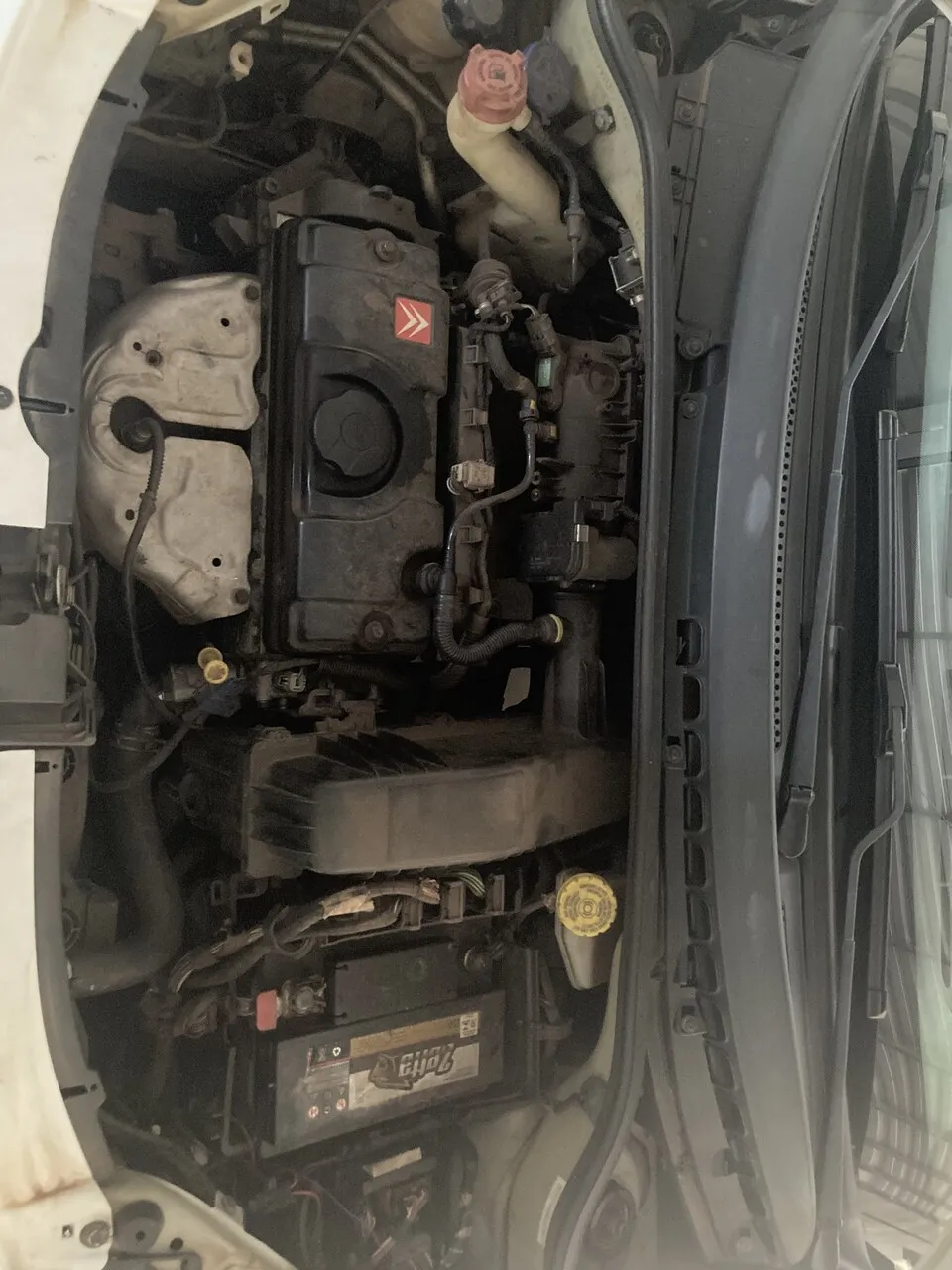  Image - 2025-11-21T160135.844_Easy-Resize.com.jpg 