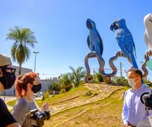  SICREDI 200805-15_0.jpg 