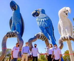  SICREDI 200805-65_0.jpg 