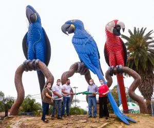  WhatsApp Image 2020-09-18 at 13.41.16_0.jpg 