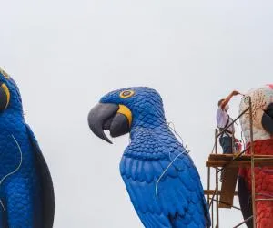  WhatsApp Image 2020-09-18 at 13.41.18_0.jpg 