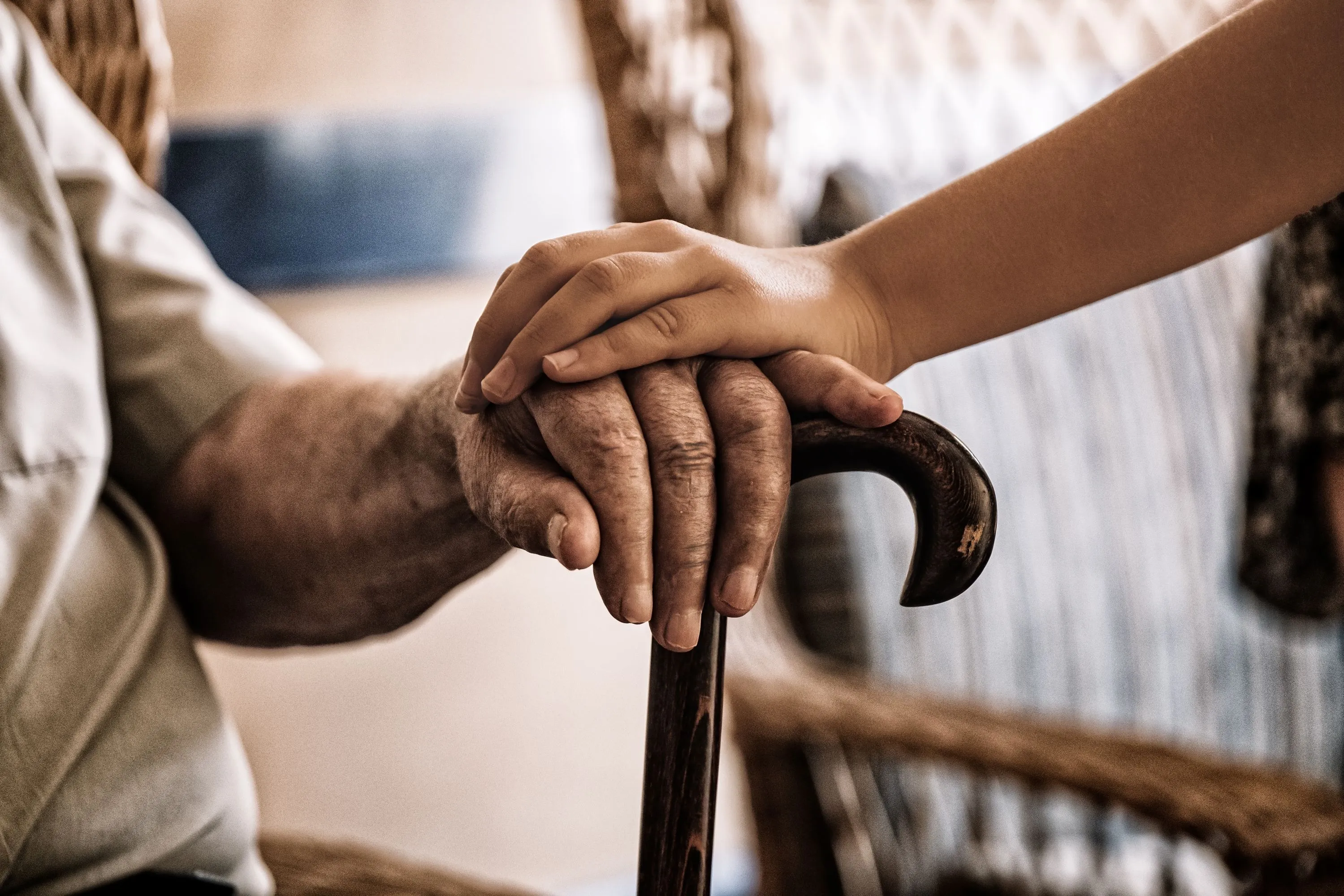  AdobeStock_286531235.jpg 