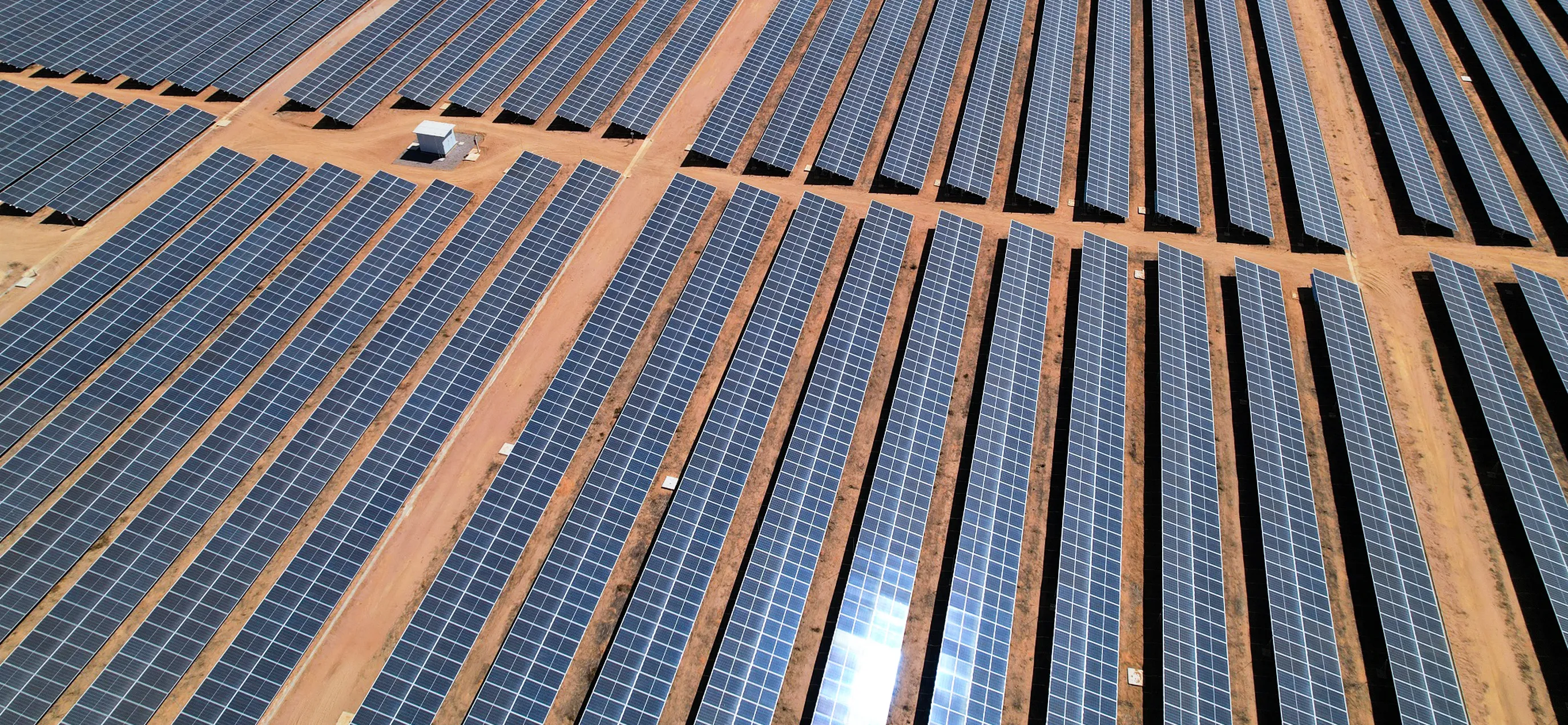  Sicredi apresentará ações para mulheres empreendedoras e transição energética no campo na COP 30 