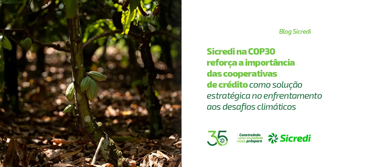  COP30.jpg 