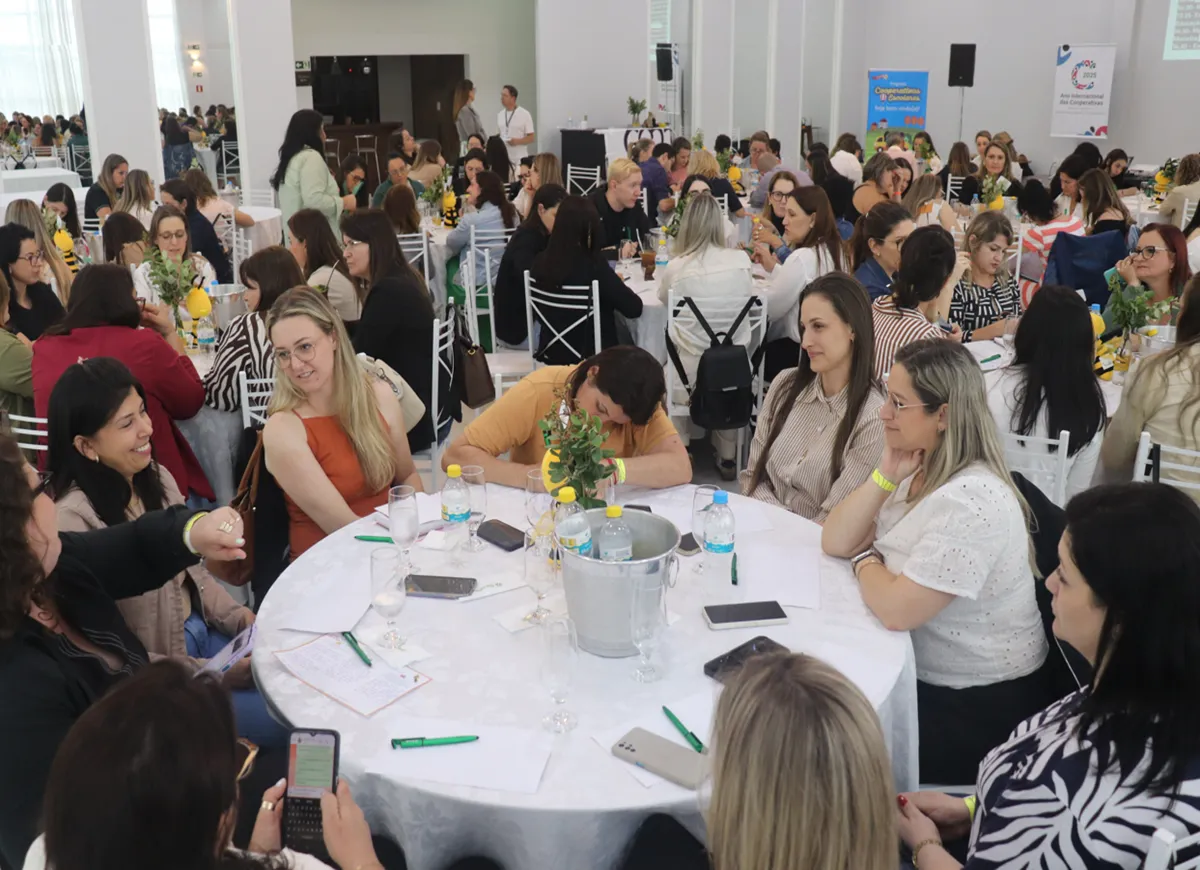  Captura de tela 2025-12-17 161036.png 