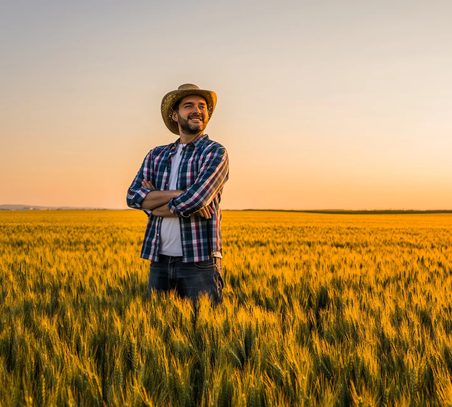  Imagem do site Sicredi 