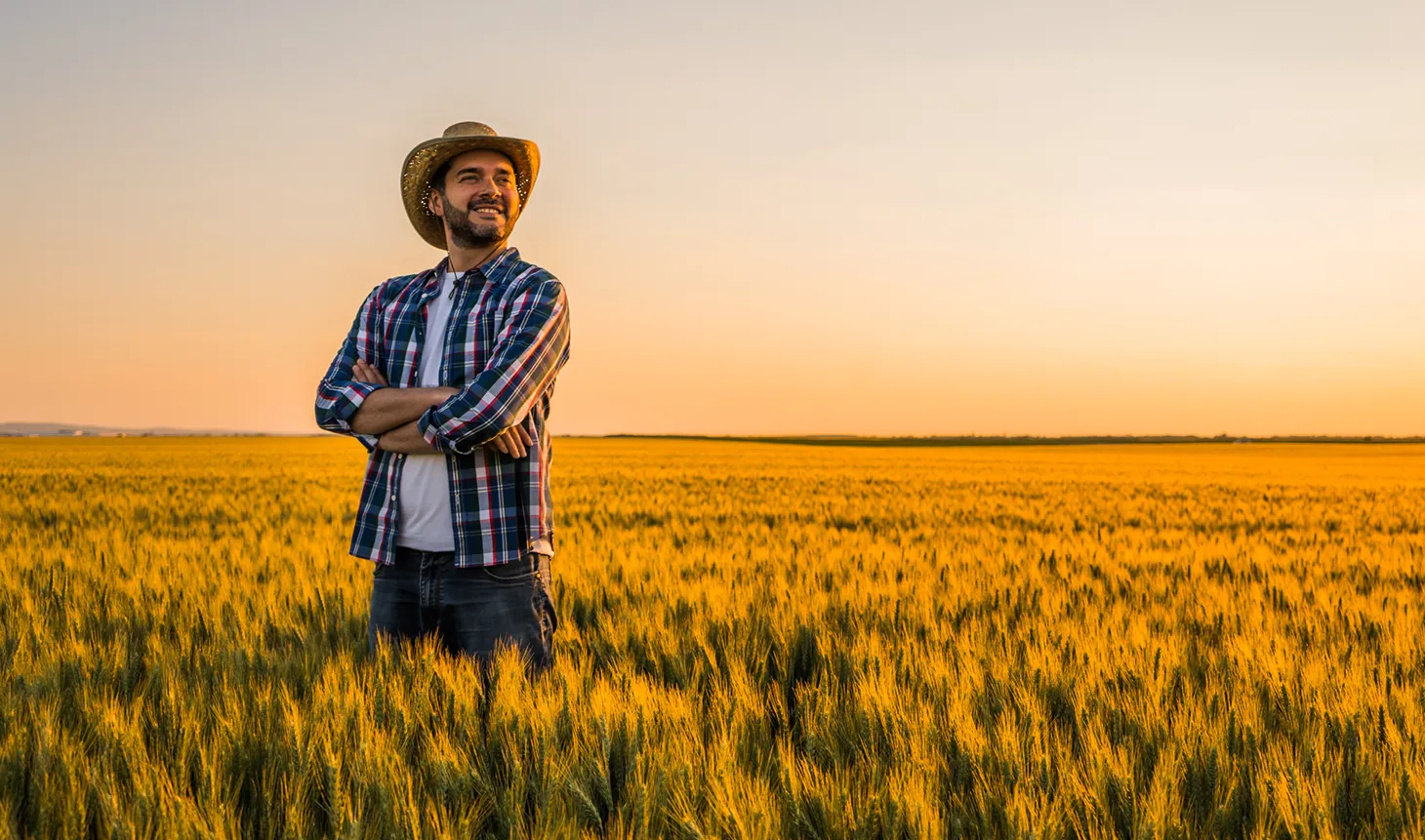  agro.png 
