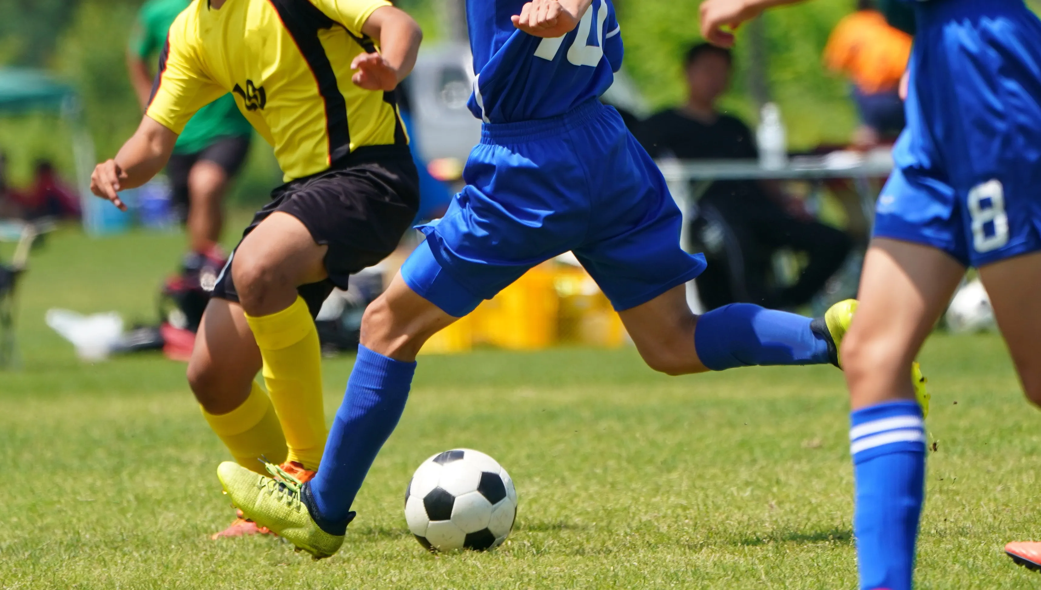  AdobeStock_219104348.jpg 