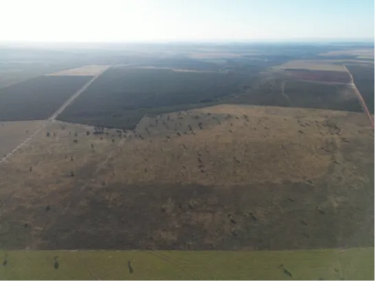  Imagem aérea do imóvel. 