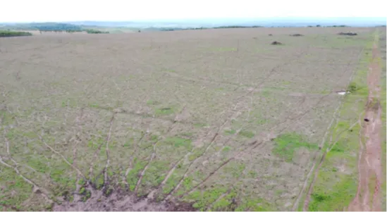  Vista aérea do imóvel 