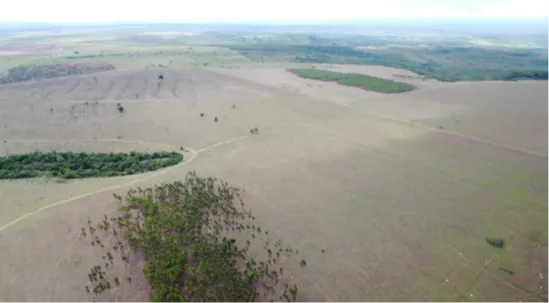  Vista aérea do imóvel 