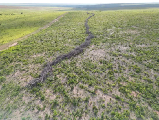  Vista aérea do imóvel 