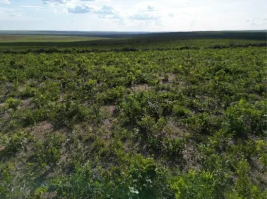  Vista aérea do imóvel 