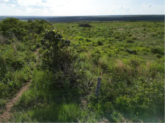  Vista aérea do imóvel 