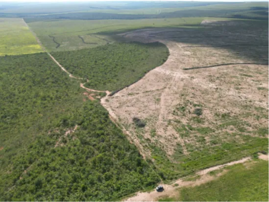  Vista aérea do imóvel 
