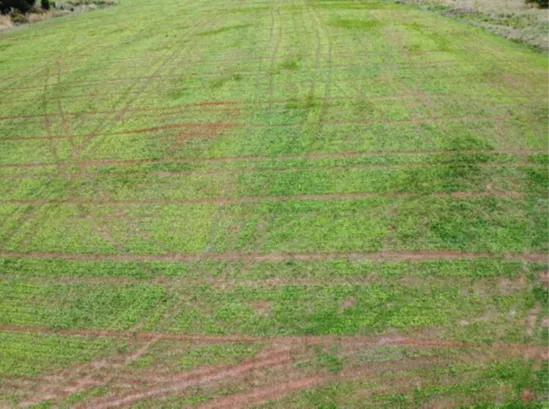  Vista aérea do imóvel 