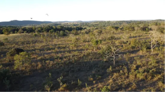  Vista aérea do imóvel 