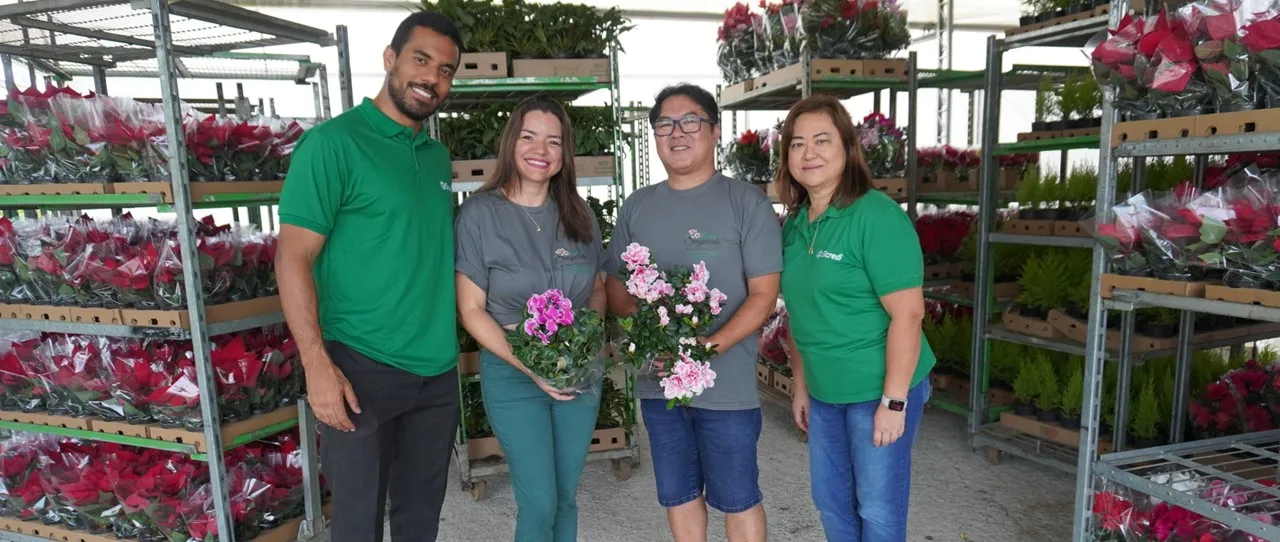  flora-suguieda-sicredi-1 