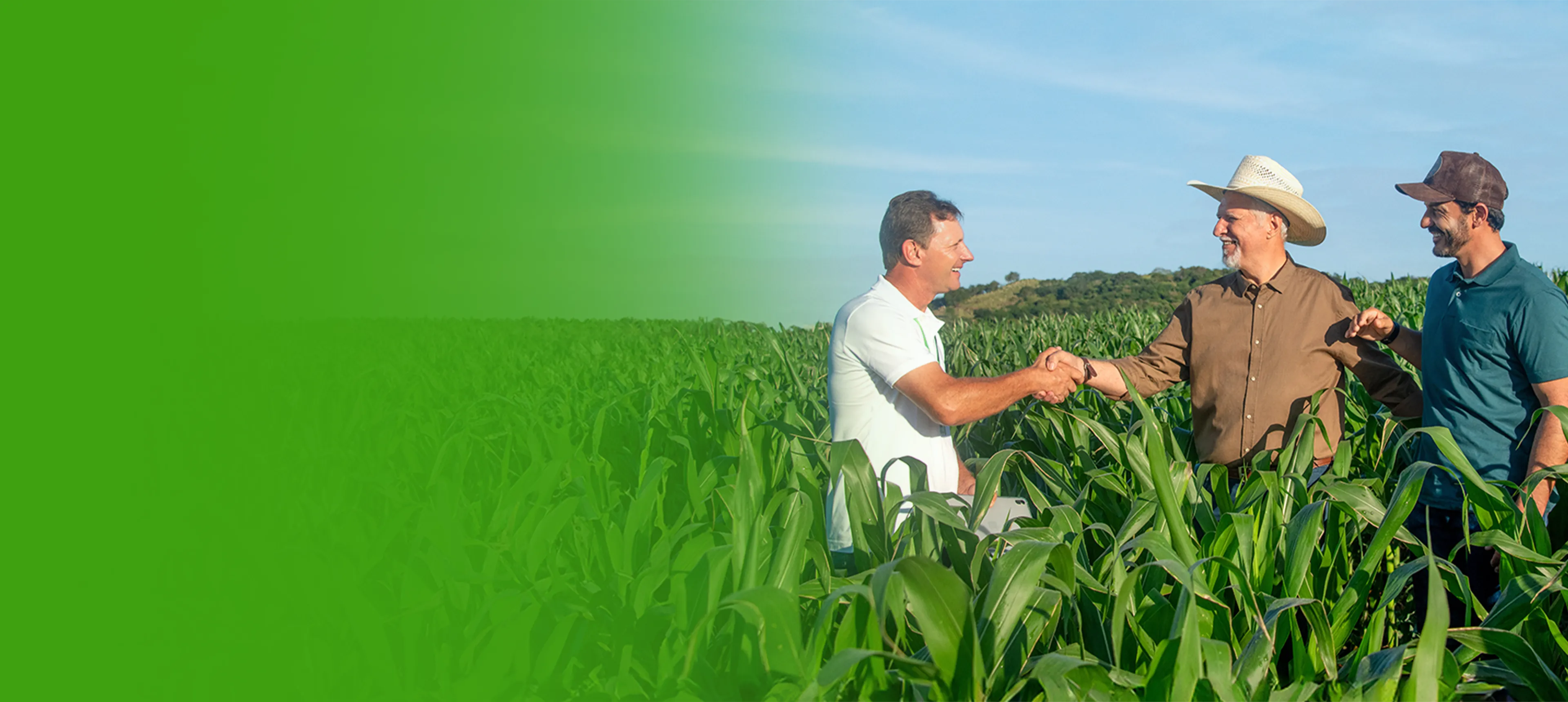  Imagem do site Sicredi 