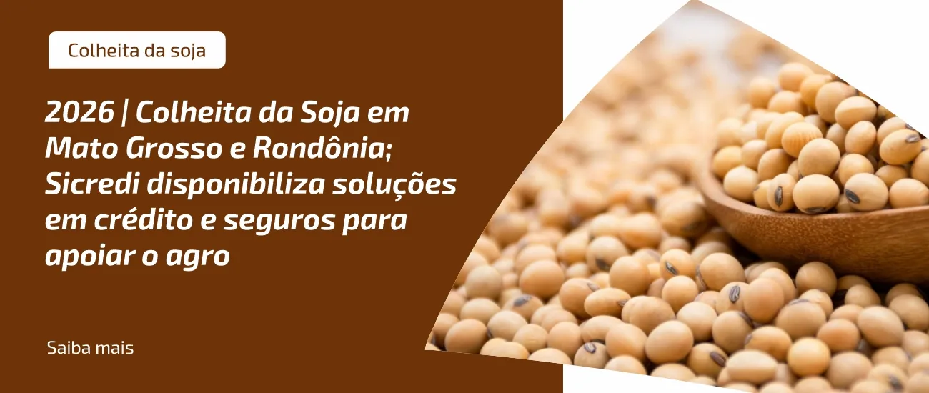  Capa matéria soja 