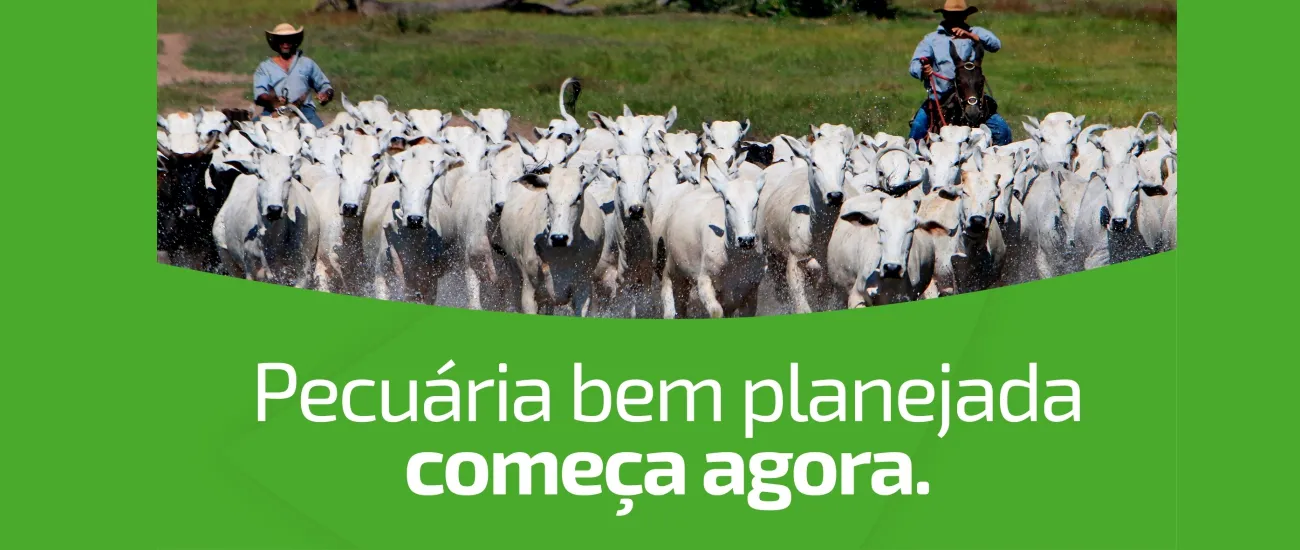  Capa matéria Pecuária 