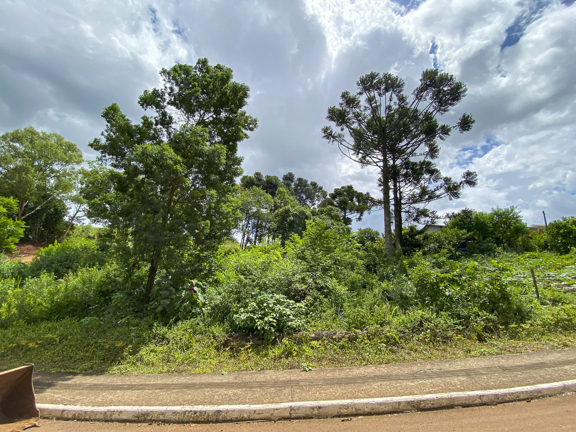  Sicredi_MAT.23.629  R.I e MAT.23.630  R.I_029.jpg 