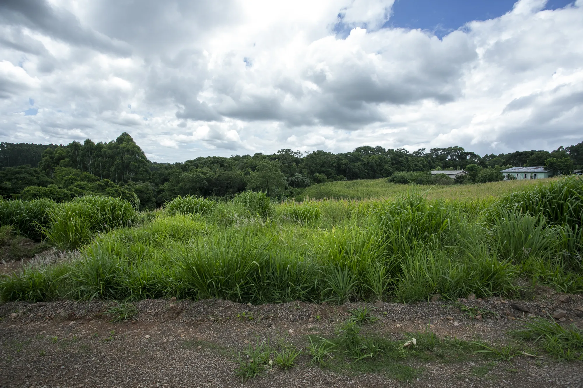  Sicredi_MAT 23653  R.I e MAT.23.654  R.I_002.jpg 