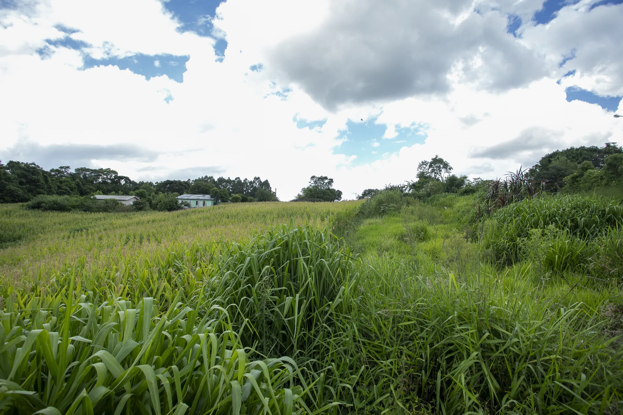  Sicredi_MAT 23653  R.I e MAT.23.654  R.I_012.jpg 