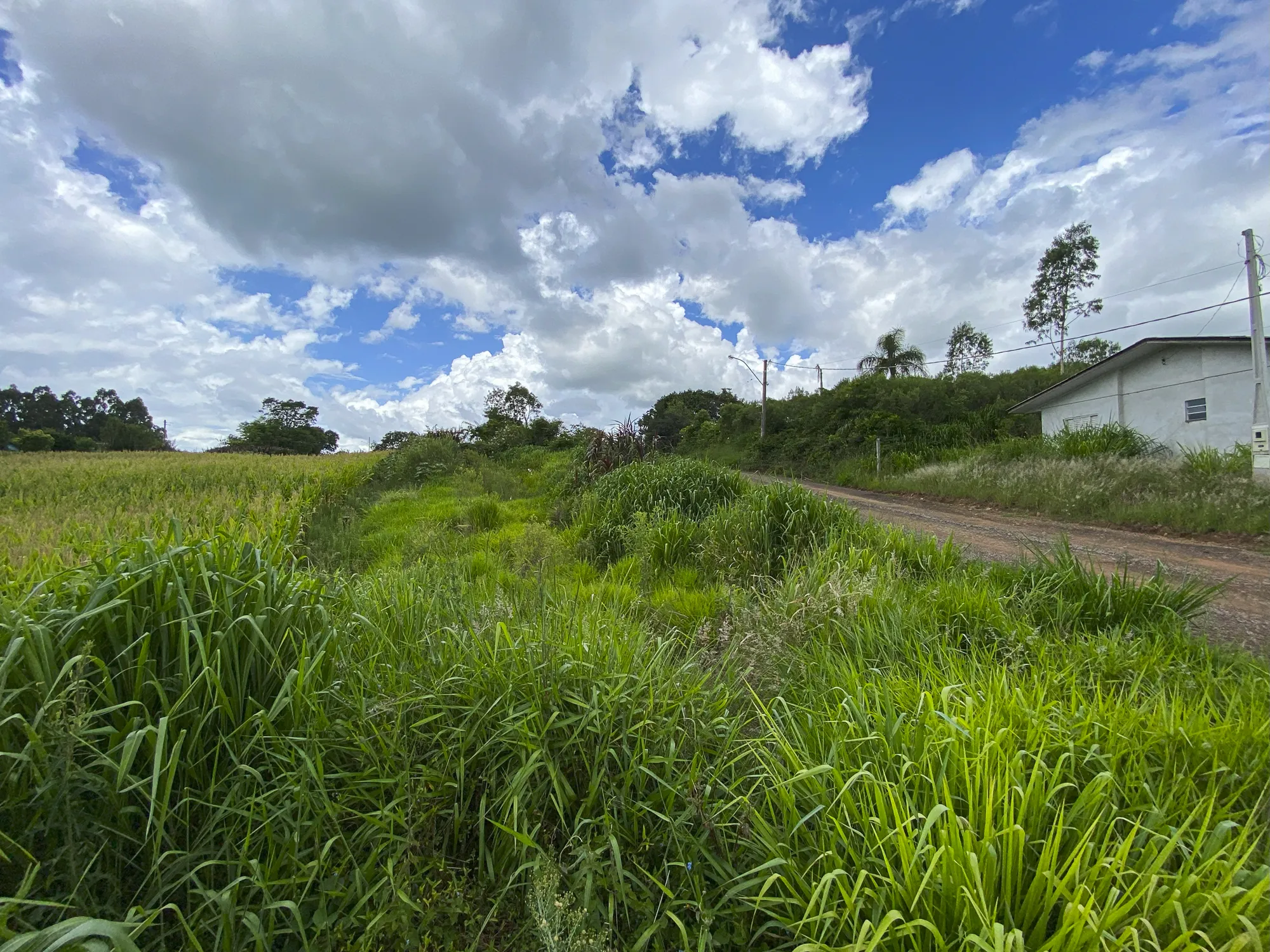  Sicredi_MAT 23653  R.I e MAT.23.654  R.I_028.jpg 