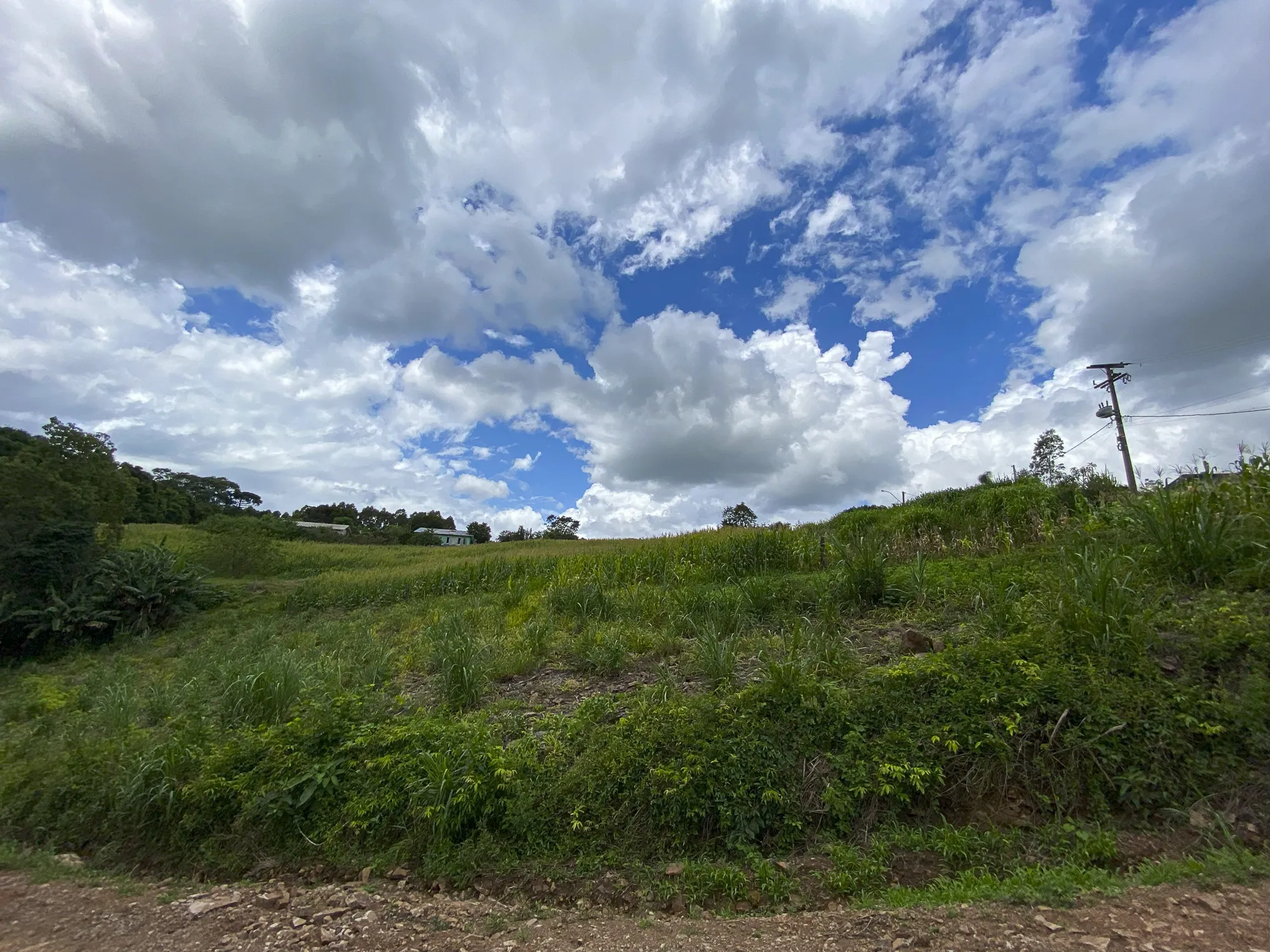  Sicredi_MAT 23653  R.I e MAT.23.654  R.I_037.jpg 