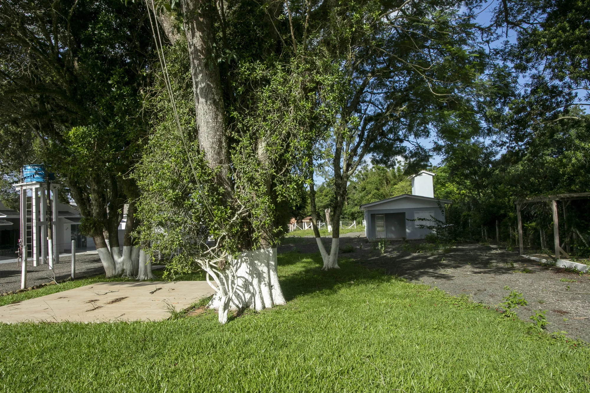  Sicredi_Mat 80.415_007.jpg 