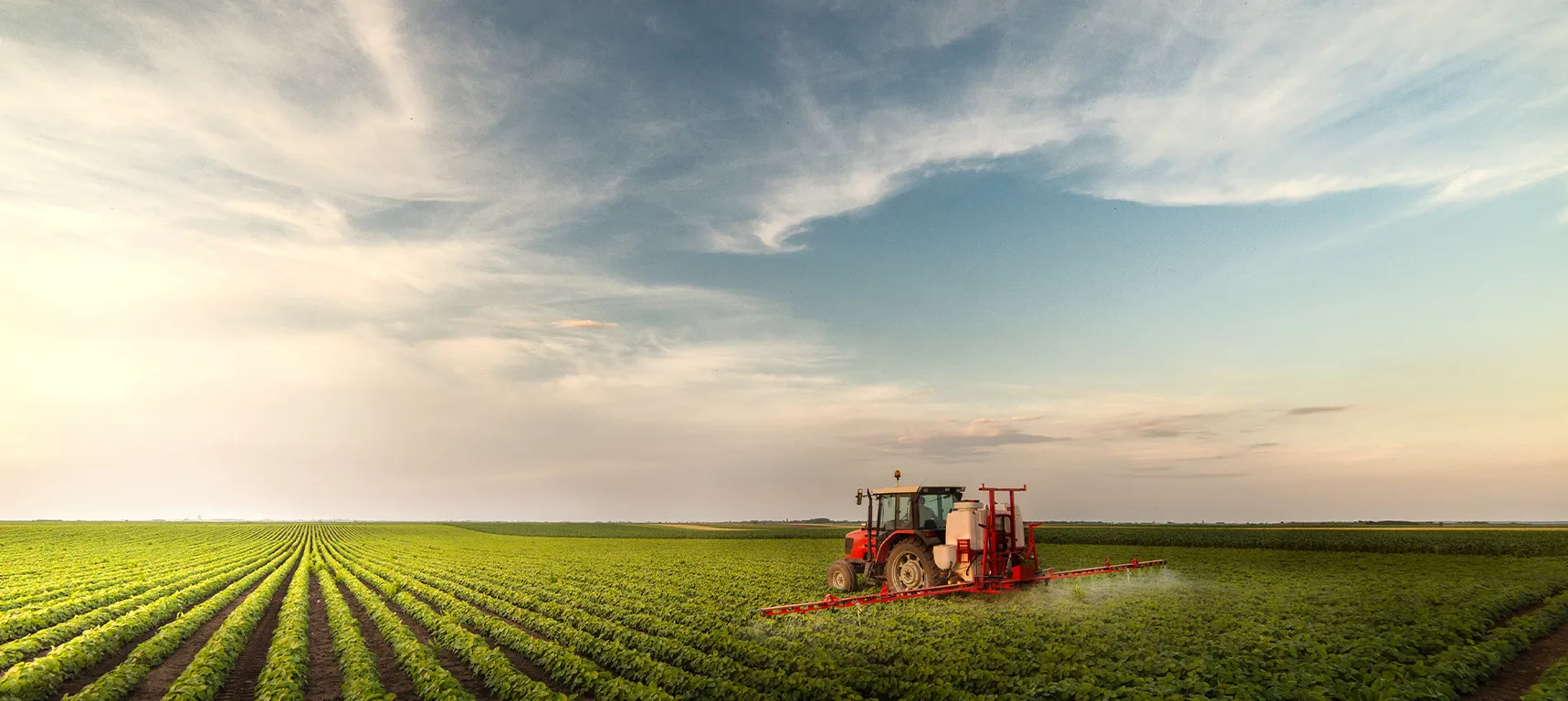  Imagem do site Sicredi 