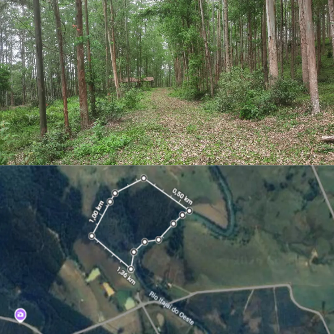  Área de Terra 
