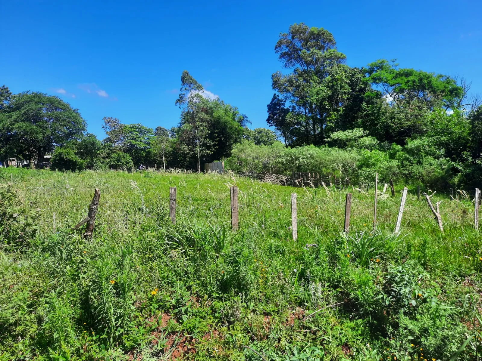  Terreno urbano sem construção 