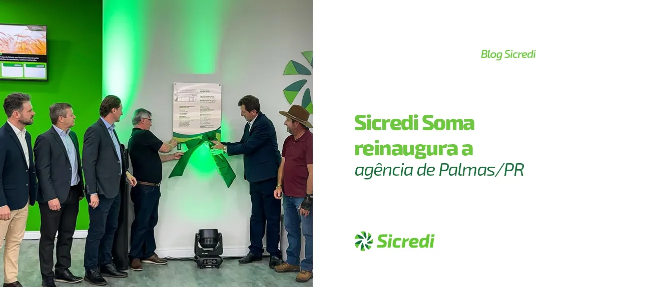  REINAUGURAÇÃO PALMAS 